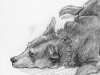 blackypencil_small