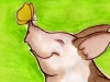 pig_butterfly
