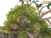 sleeping_dryad